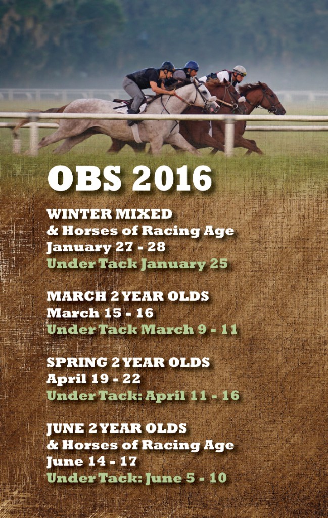 OBS 2016 OBS Sales