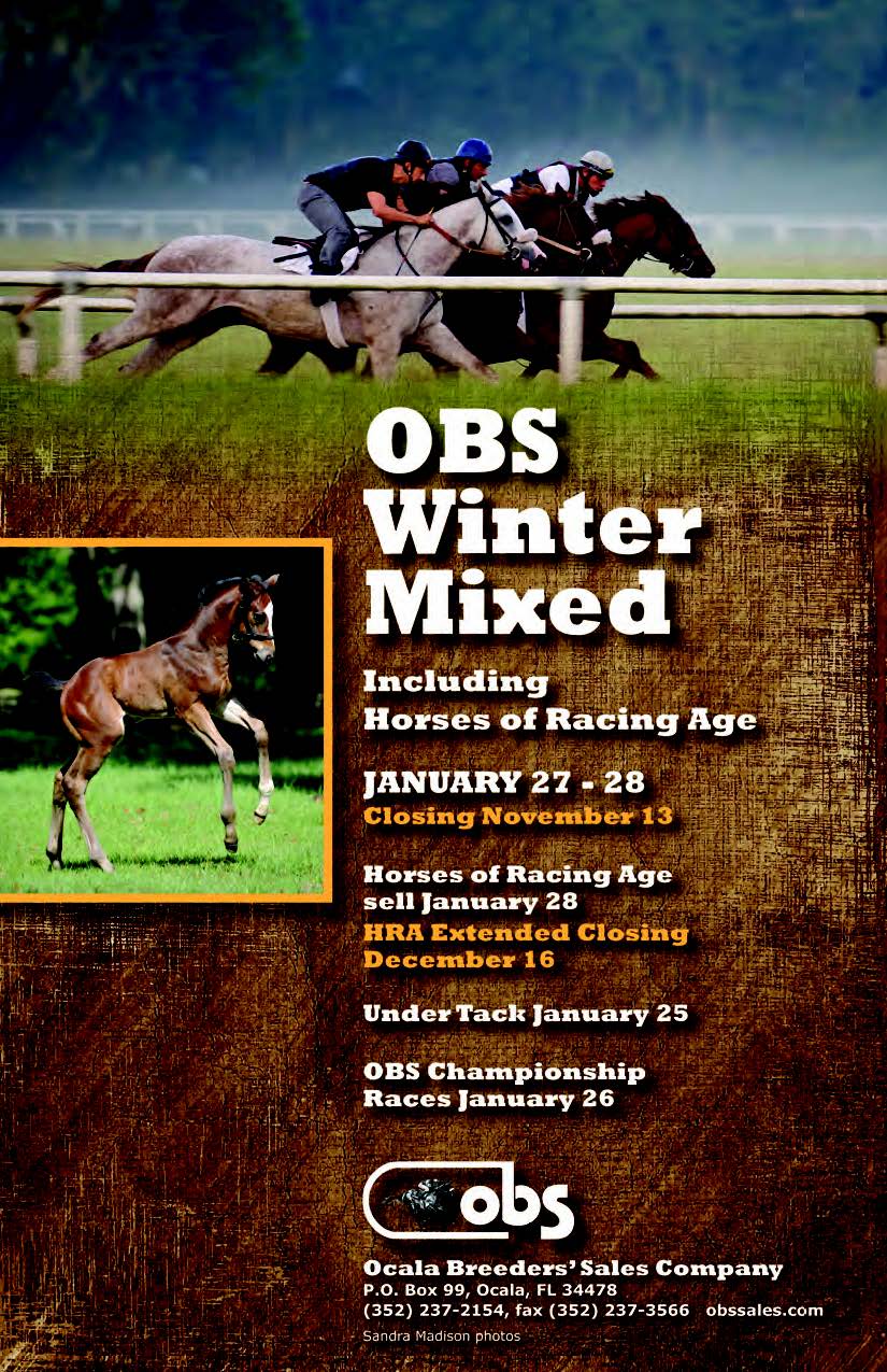 obs winter mixed closing 2016