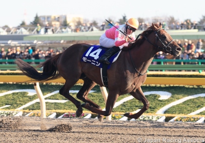 Moanin February Stakes grade 1 winner in Japan February 2016