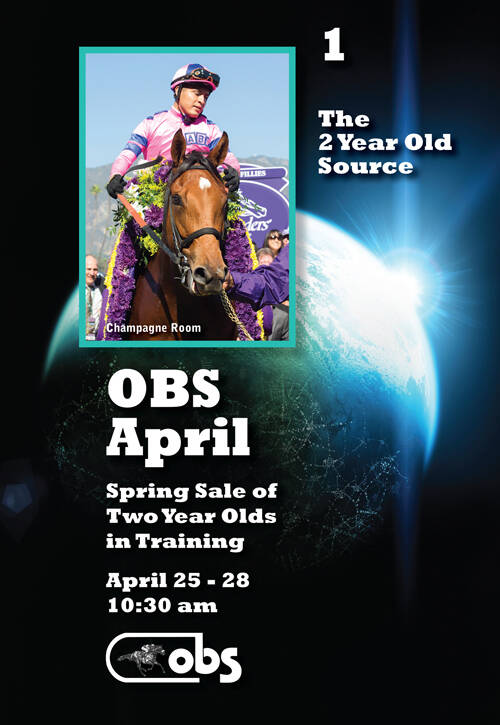 OBS Sale Info