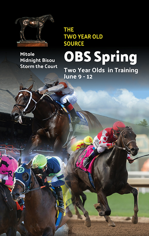 2020 Spring Sale of Two-Year-Olds in Training – OBS Sales