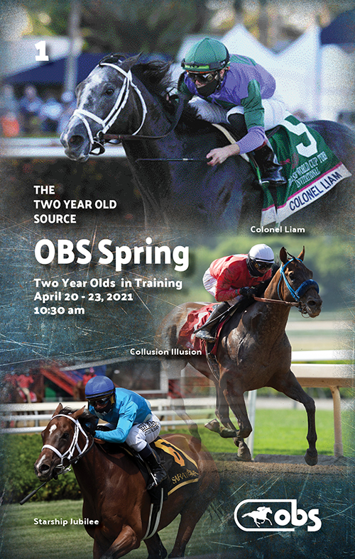 2021 Spring Sale of Two-Year-Olds in Training – OBS Sales