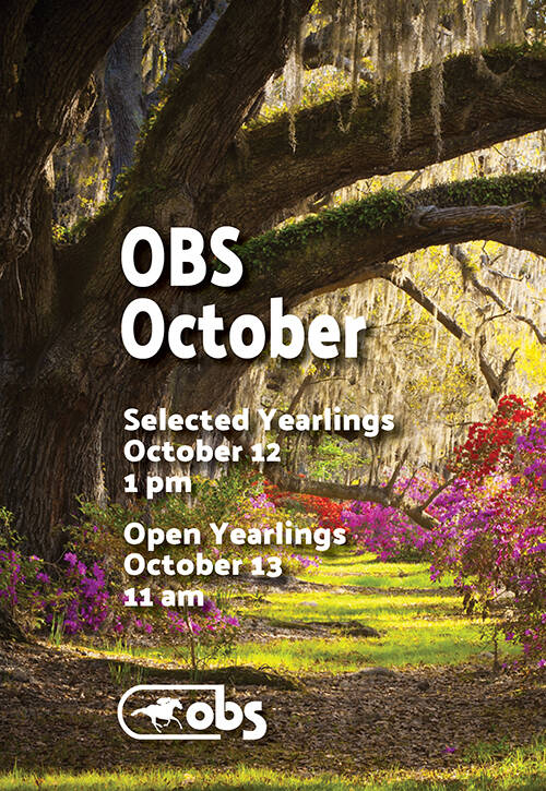 OBS Oct 2021 Sale