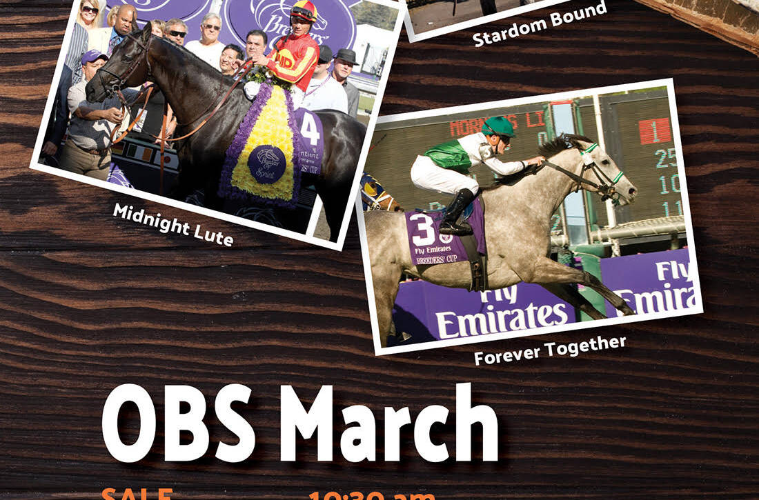 OBS 2022 March Sale