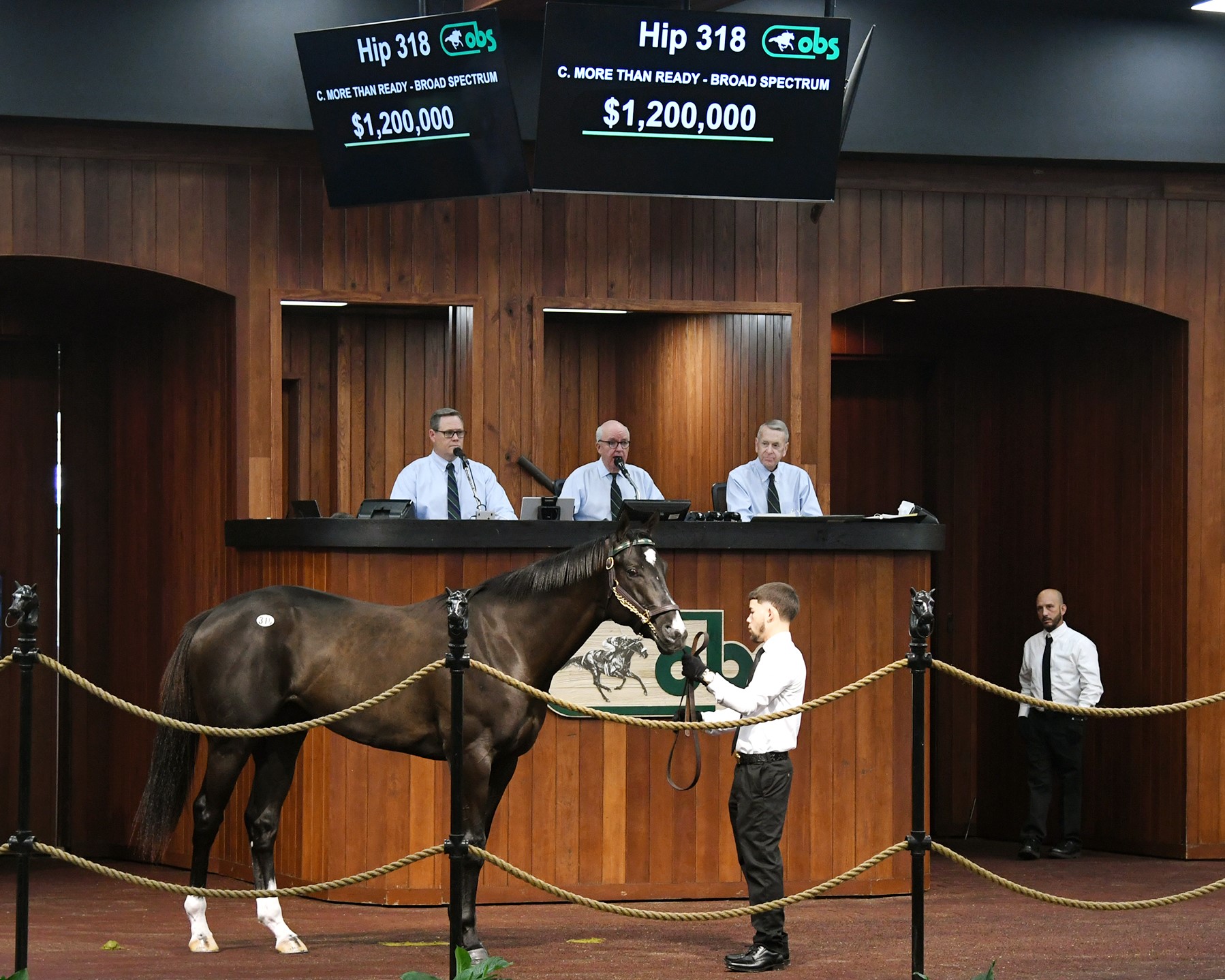 More Than Ready Colt Shines Early on Day 2 of OBS March Sale OBS Sales