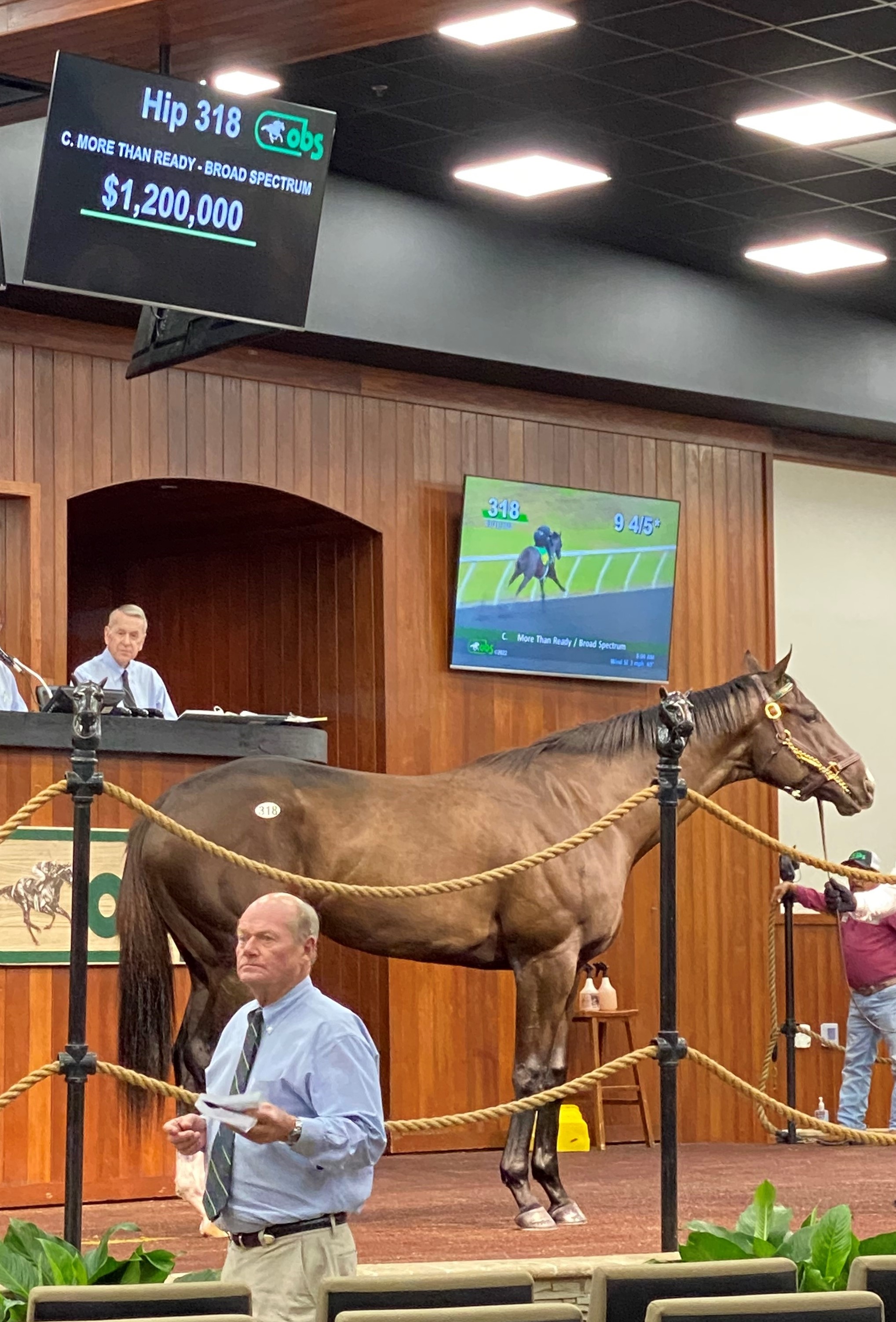 More Than Ready Colt Shines Early on Day 2 of OBS March Sale OBS Sales