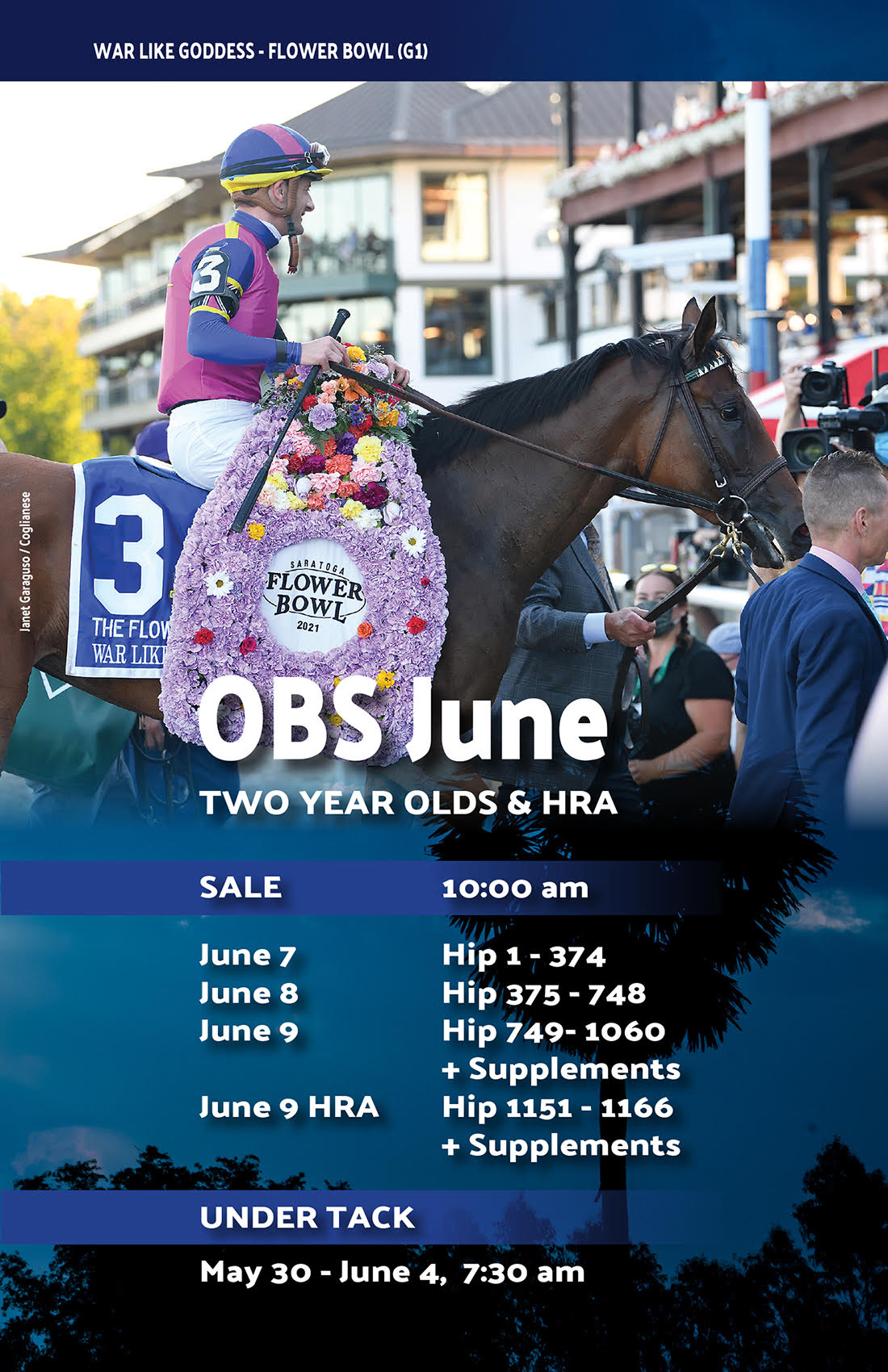 2022 June Two-Year-Olds & Horses of Racing Age – OBS Sales