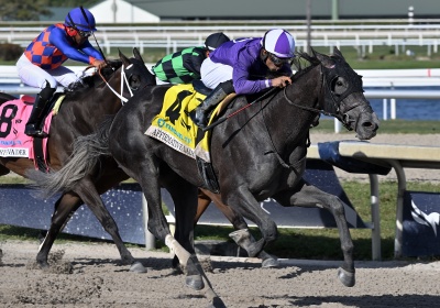 Affirmative Lady the GP Oaks credit Lauren King