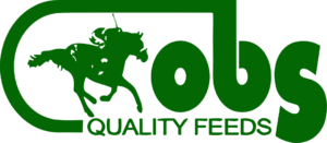 obs quality feeds logo