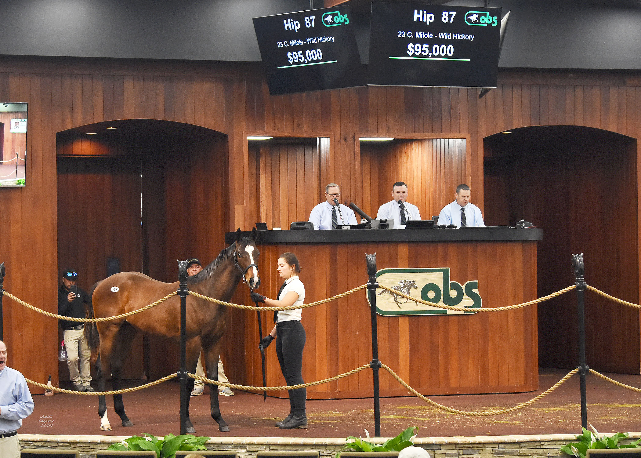 Mitole colt tops Winter Mixed Sale’s opening session OBS Sales