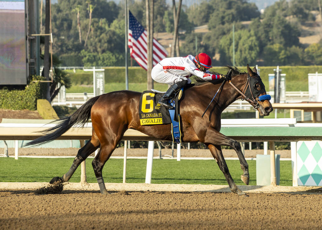 Cavalieri La Canada (Benoit Photo)