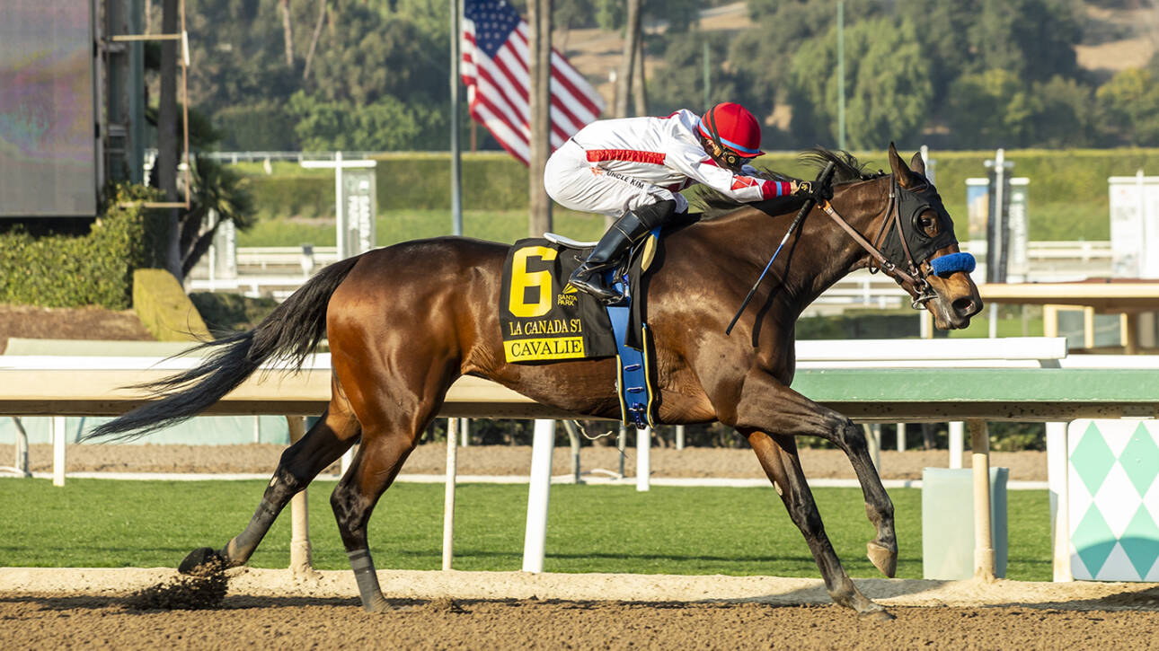 Cavalieri La Canada (Benoit Photo)