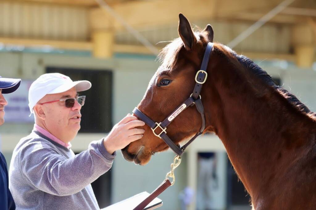 Mark Casse OBS January