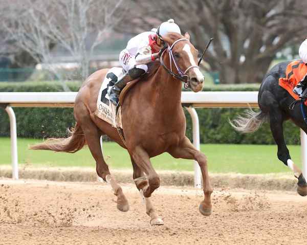 Photo Credit: Coady Media G W'S GIRL - Mockingbird Stakes