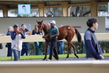 OBS January Back Ring Scene