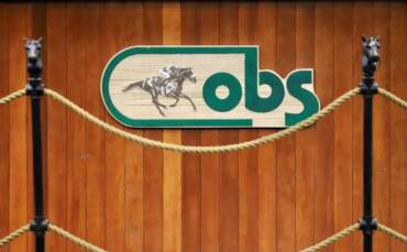 OBS Ring logo